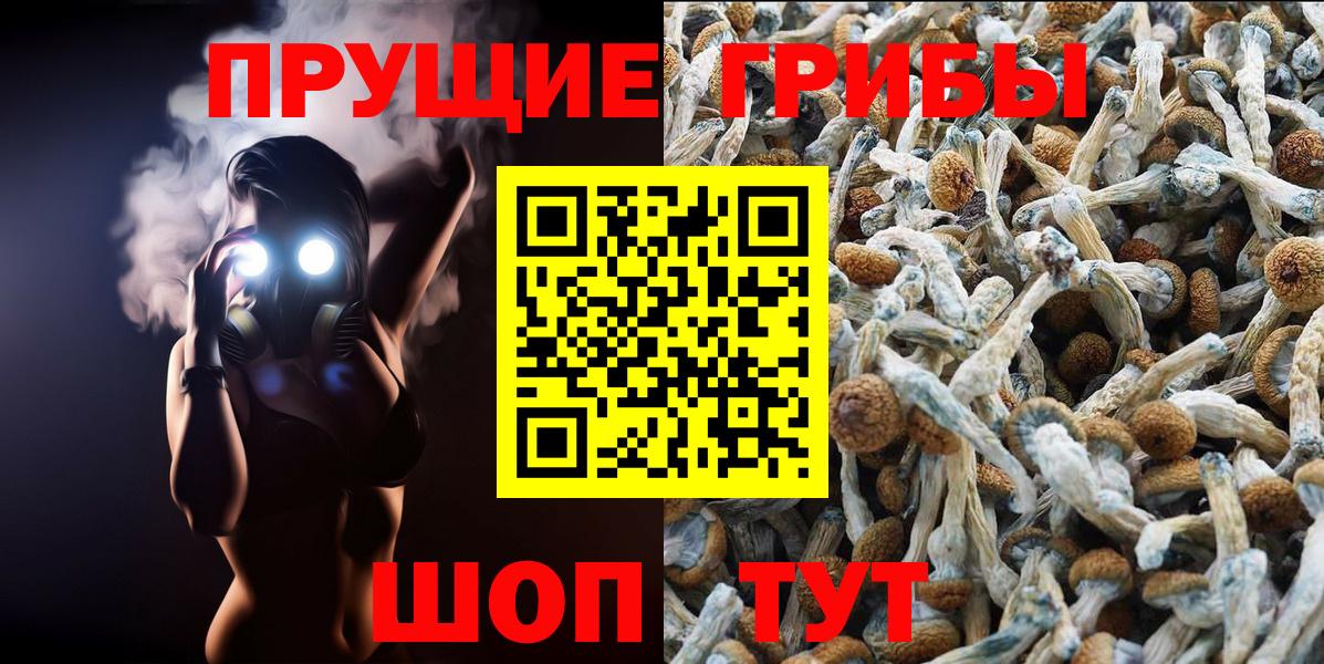 Галлюциногенные грибы мухоморы Звенигород