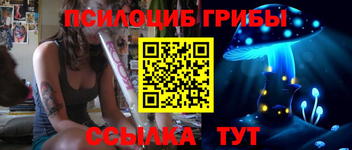 Псилоцибиновые грибы Psilocybe  Вход с VPN  Звенигород 